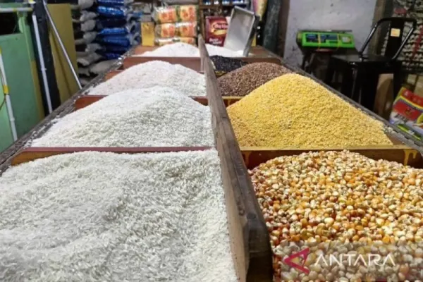 Harga Beras Naik, Premium Tembus Rp16.528/kg! Daerah Ini Paling Parah