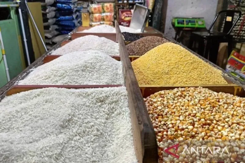 Harga beras medium naik ke Rp14.677/kg dan premium Rp16.528/kg. Manggarai Barat mencatat lonjakan tertinggi sebesar 5,84%.