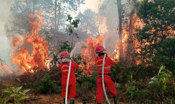 Tanggap Bencana Karhutla, Baznas Salurkan Masker, Air Bersih hingga Bangun Rumah Sehat Oksigen