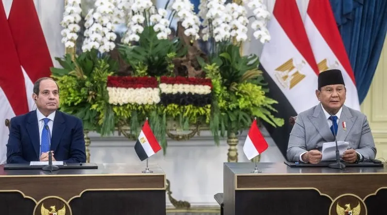 Prabowo mendukung Mesir menjaga hak air Sungai Nil dan menegaskan pentingnya hukum internasional dalam menjamin akses air setiap bangsa.