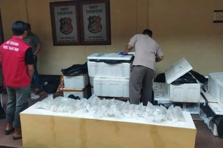 Penyelundupan Benih Lobster