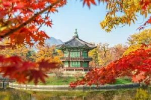 10 Tempat Wajib Dikunjungi di Korea Selatan