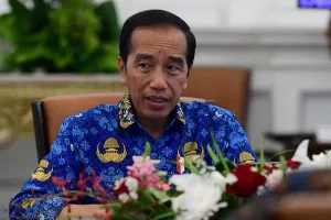 Diluar APBN, Presìden Jokowi Sebut Nilai Investasi yang Masuk di Ibu Kota Nusantara Capai Rp56,2 Triliun